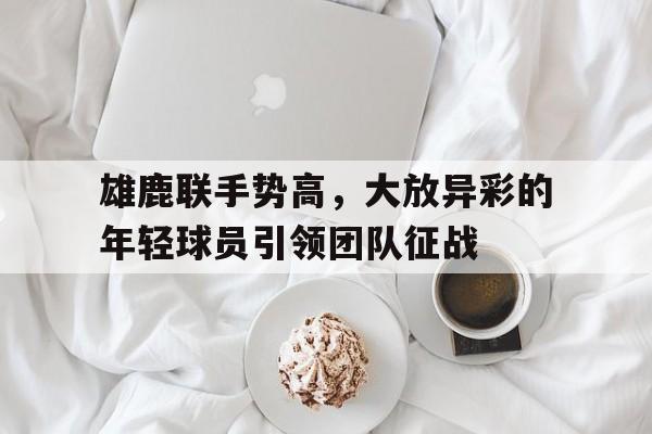 包含雄鹿联手势高，大放异彩的年轻球员引领团队征战的词条